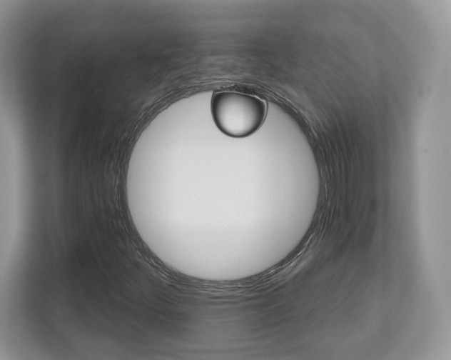X0000112541252200908171158