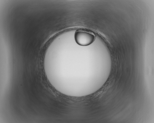 X0000112541255200908171158