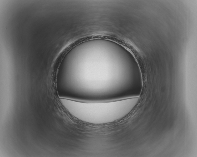 X0000112541256200908171158