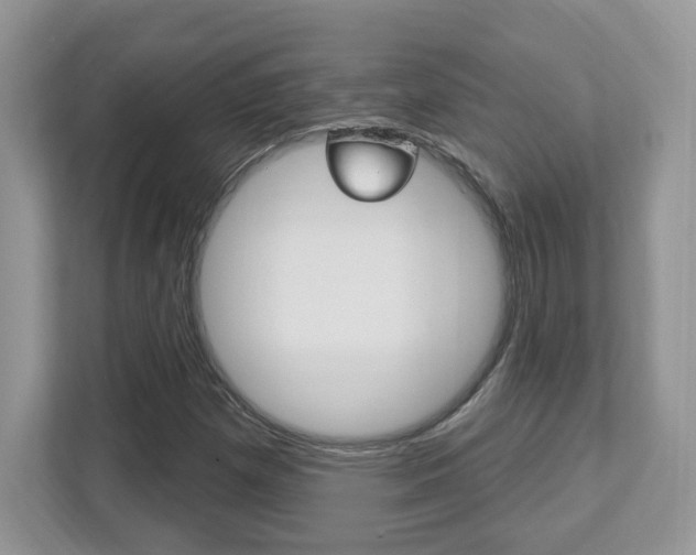 X0000112541257200908171158