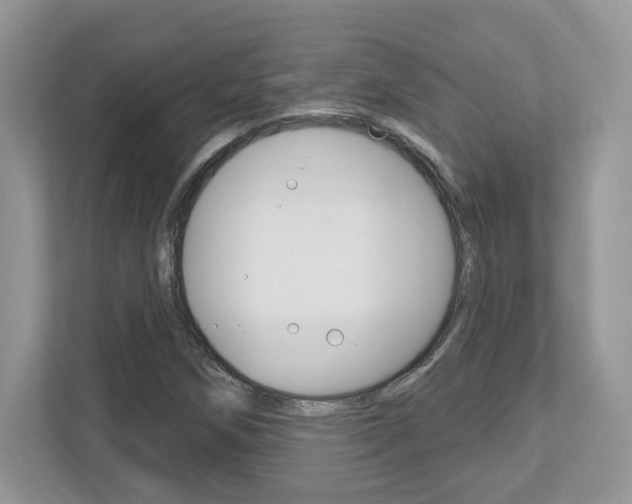 X0000112541258200908171158