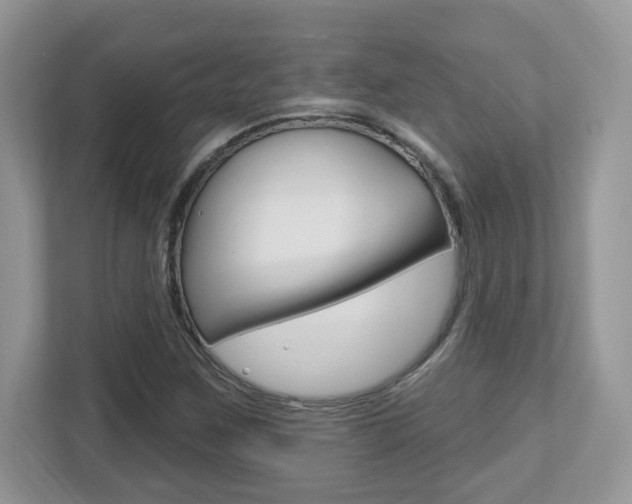 X0000112541259200908171158