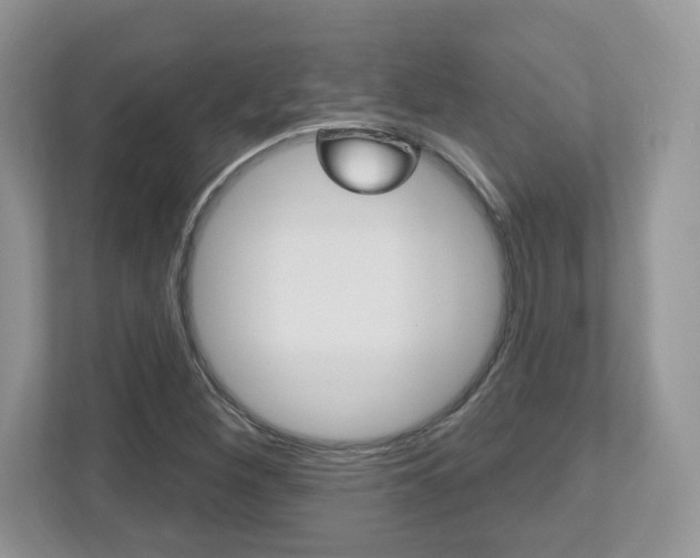 X0000112541260200908171158