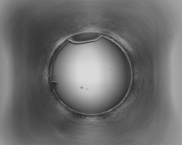 X0000112541264200908171158