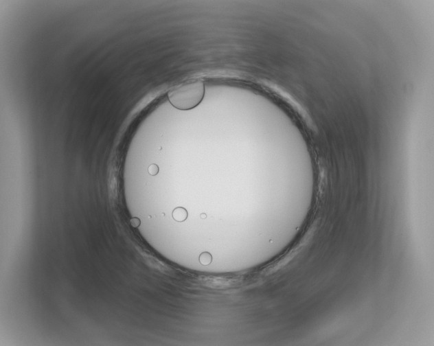 X0000112541266200908171158