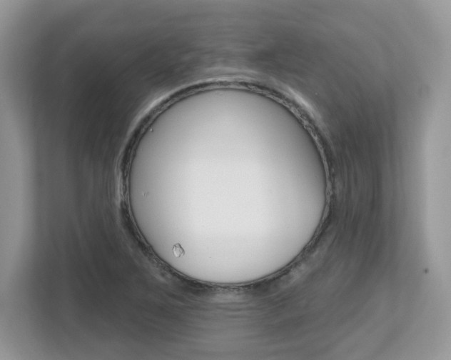 X0000112541267200908171158