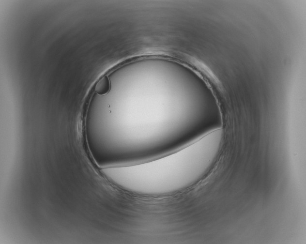 X0000112541268200908171158
