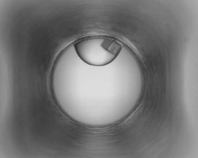 X0000112541269200908171158