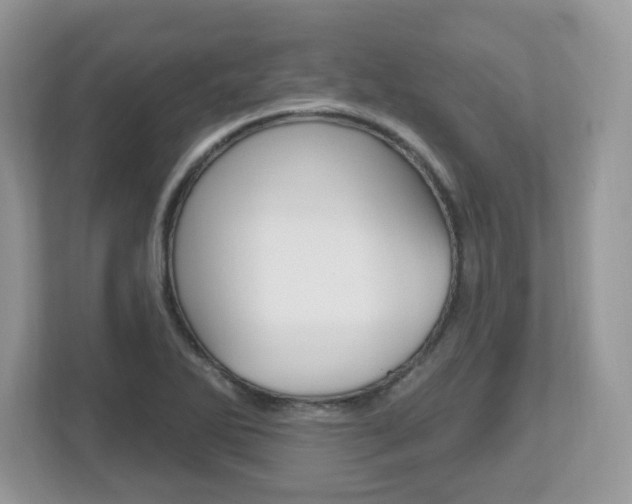 X0000112541270200908171158