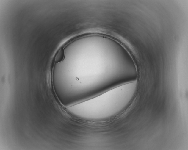 X0000112541272200908171158