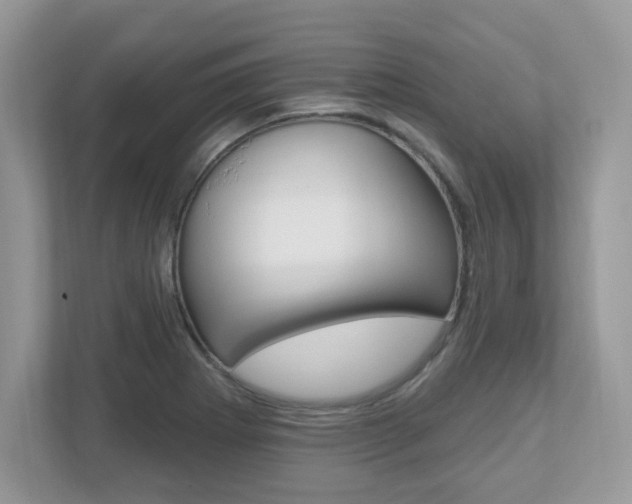 X0000112541273200908171158