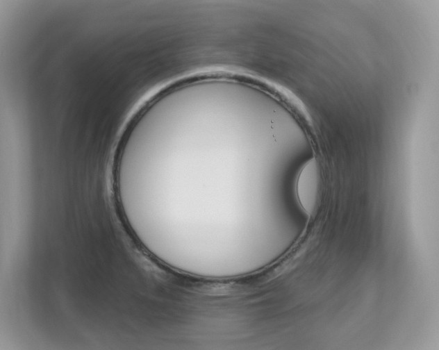X0000112541279200908171158