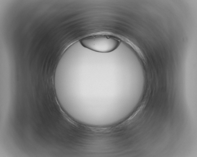 X0000112541281200908171158