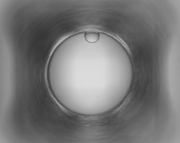 X0000112541285200908171158