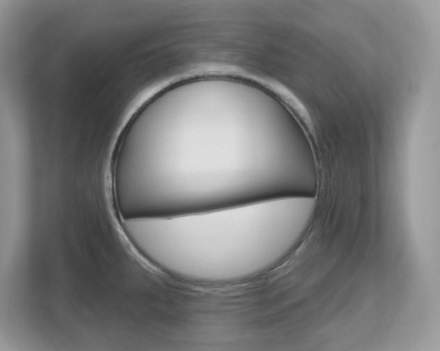 X0000112541287200908171158