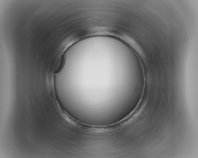 X0000112541289200908171158