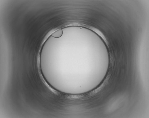 X0000112541290200908171158
