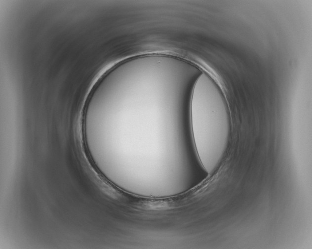 X0000112541291200908171158