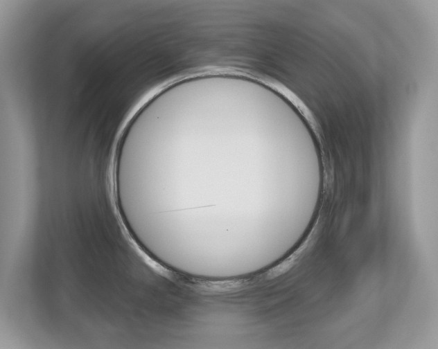 X0000112541294200908171158