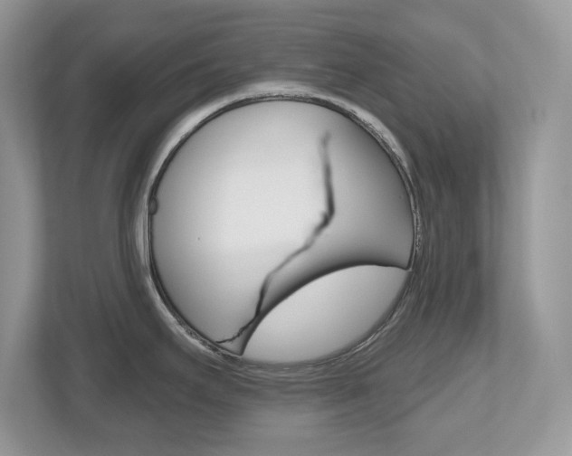 X0000112541295200908171158