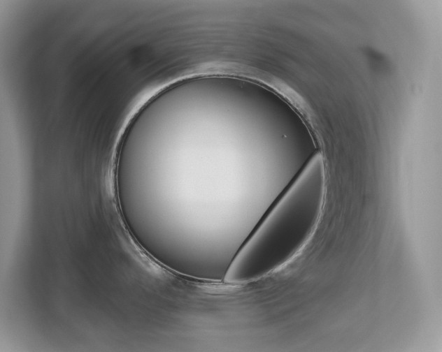 X0000112541296200908171158