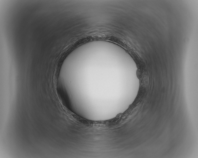 X0000112541297200908171157