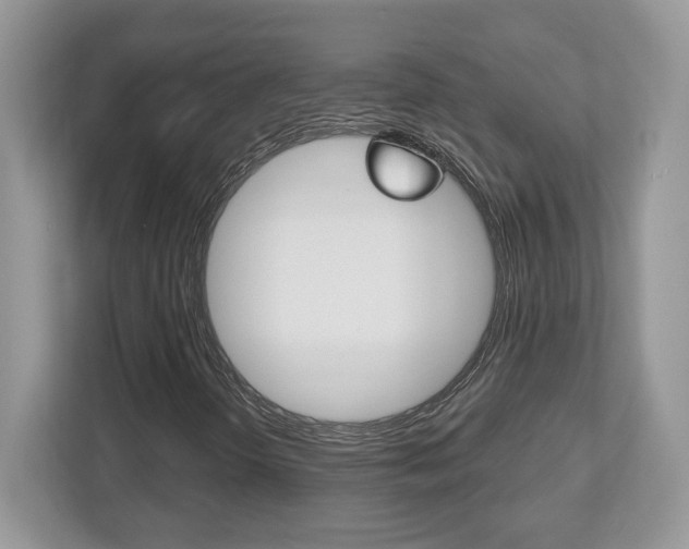 X0000112541298200908171157