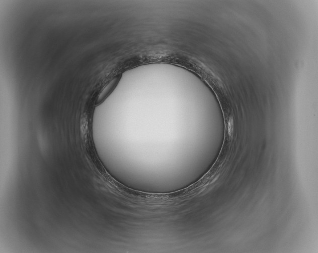 X0000112541299200908171157