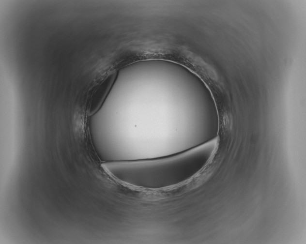 X0000112541300200908171157