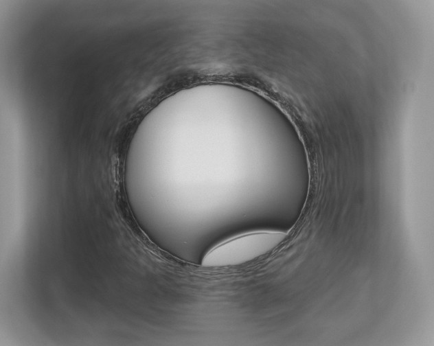 X0000112541301200908171157