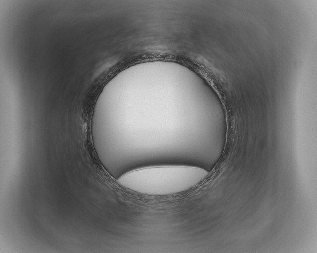 X0000112541302200908171157