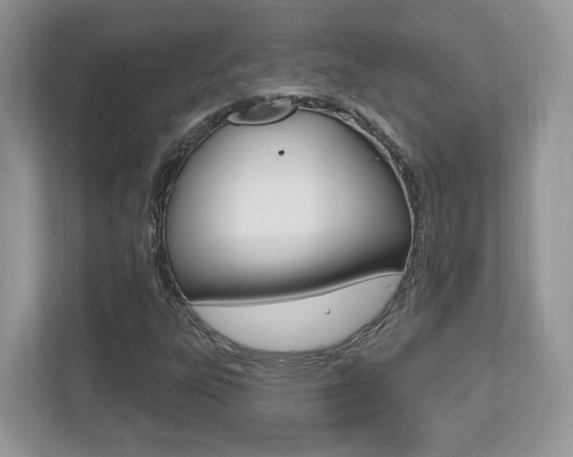 X0000112541303200908171157