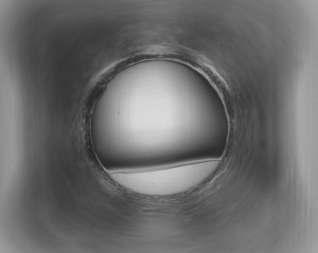 X0000112541304200908171157