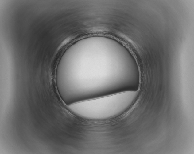 X0000112541306200908171157