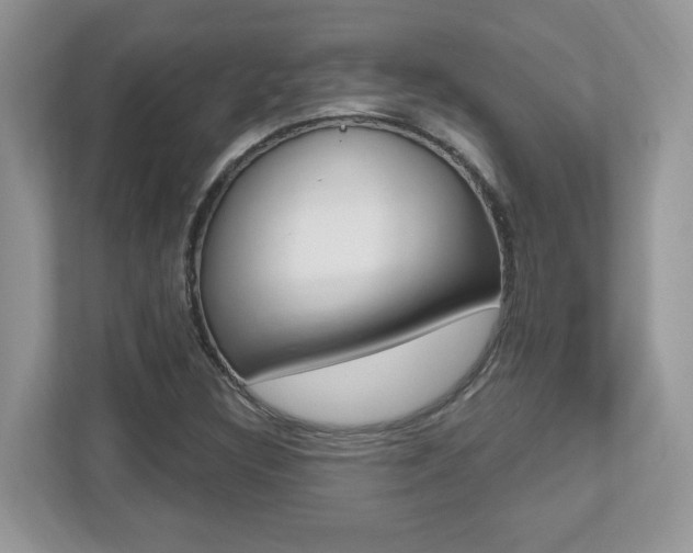 X0000112541308200908171157