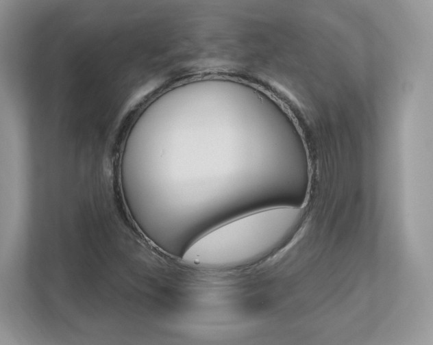 X0000112541309200908171157