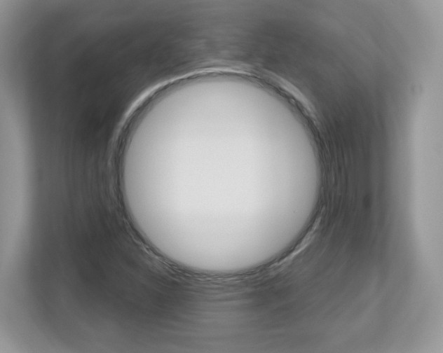 X0000112541310200908171157