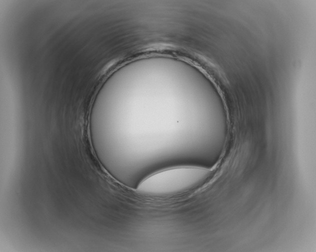 X0000112541313200908171157