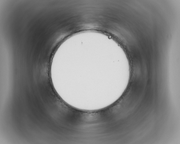 X0000112541314200908171157