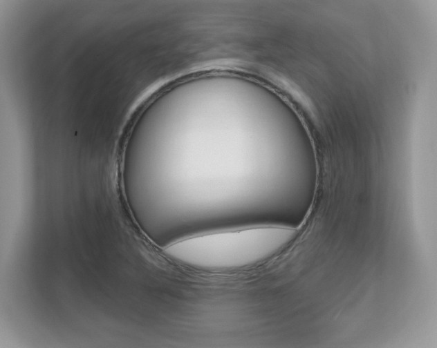 X0000112541316200908171157