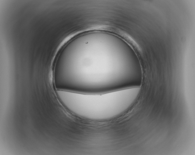 X0000112541324200908171157