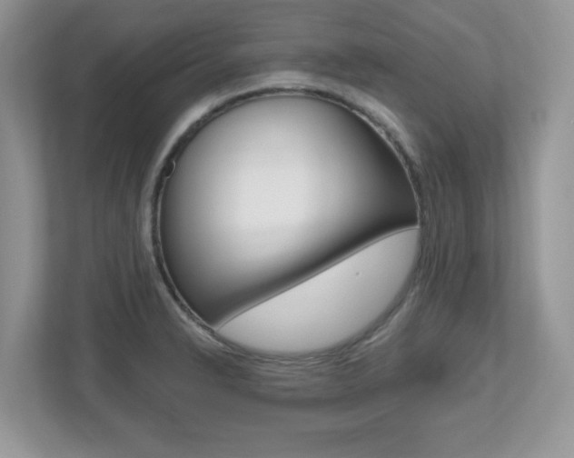 X0000112541326200908171157