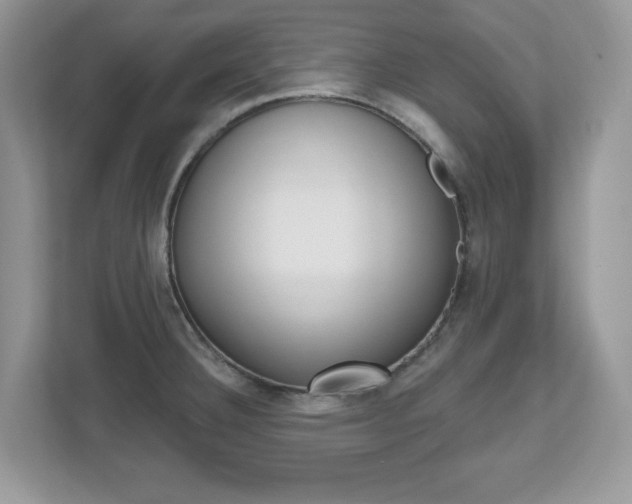 X0000112541332200908171157
