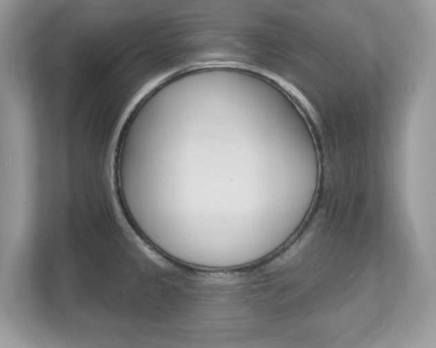 X0000112541333200908171157