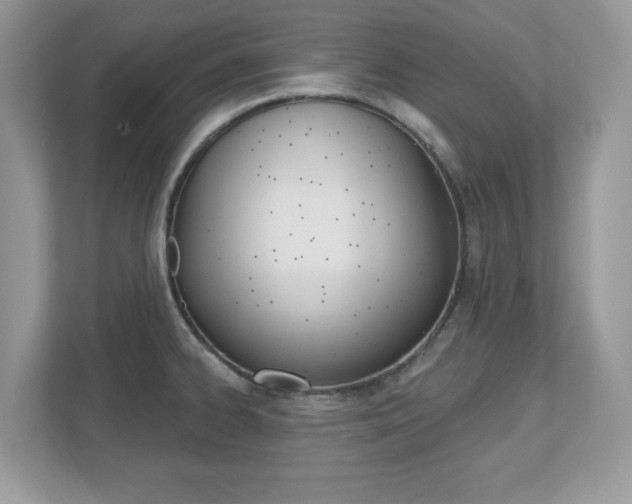 X0000112541334200908171157