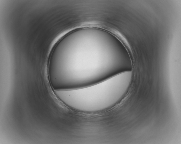 X0000112541336200908171157