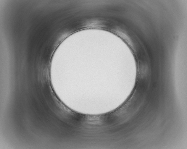 X0000112541338200908171158