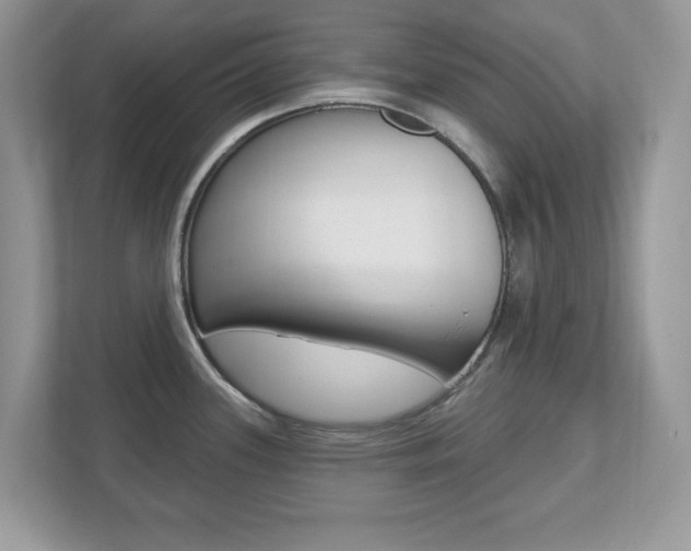 X0000112541339200908171158
