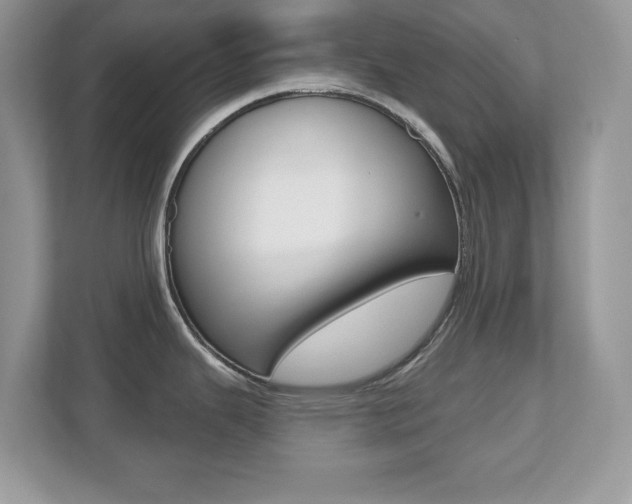 X0000112541343200908171158