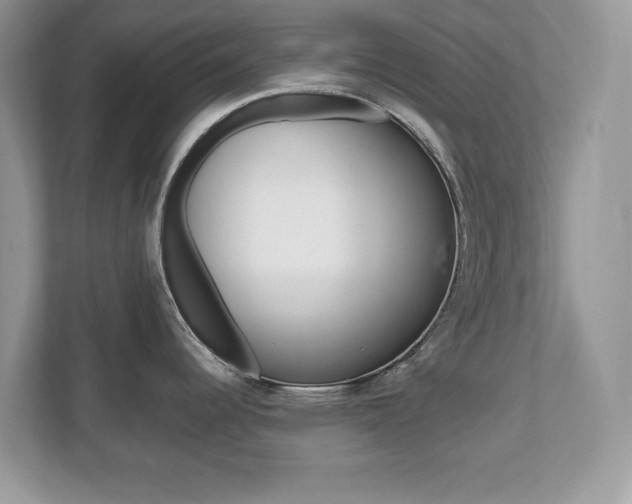 X0000112541344200908171158
